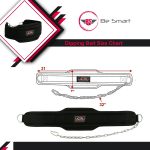 Dipping Belt