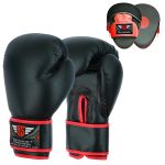 Boxing Gloves and Focus Pads Set