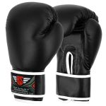 Boxing Gloves and Focus Pads Set