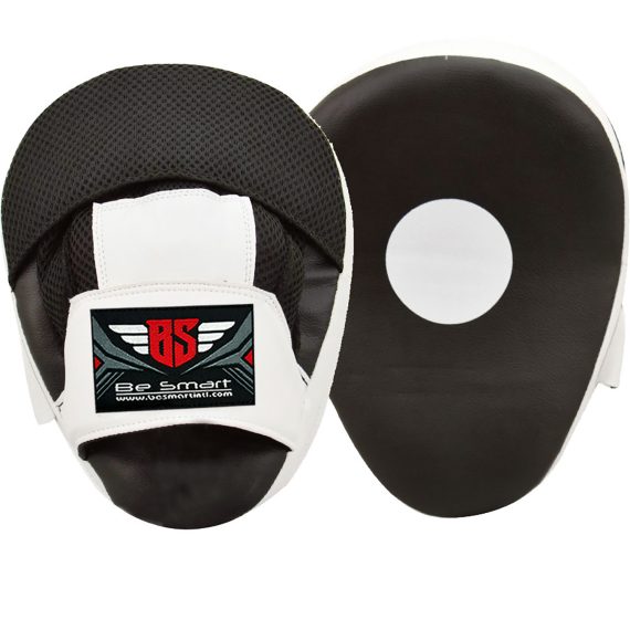 Boxing Gloves and Focus Pads Set