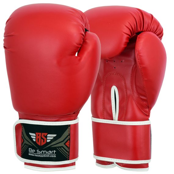 Boxing Gloves and Focus Pads Set