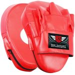 Boxing Gloves and Focus Pads Set