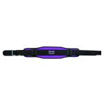 Weight Lifting Belt