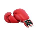 Boxing Sparring Gloves